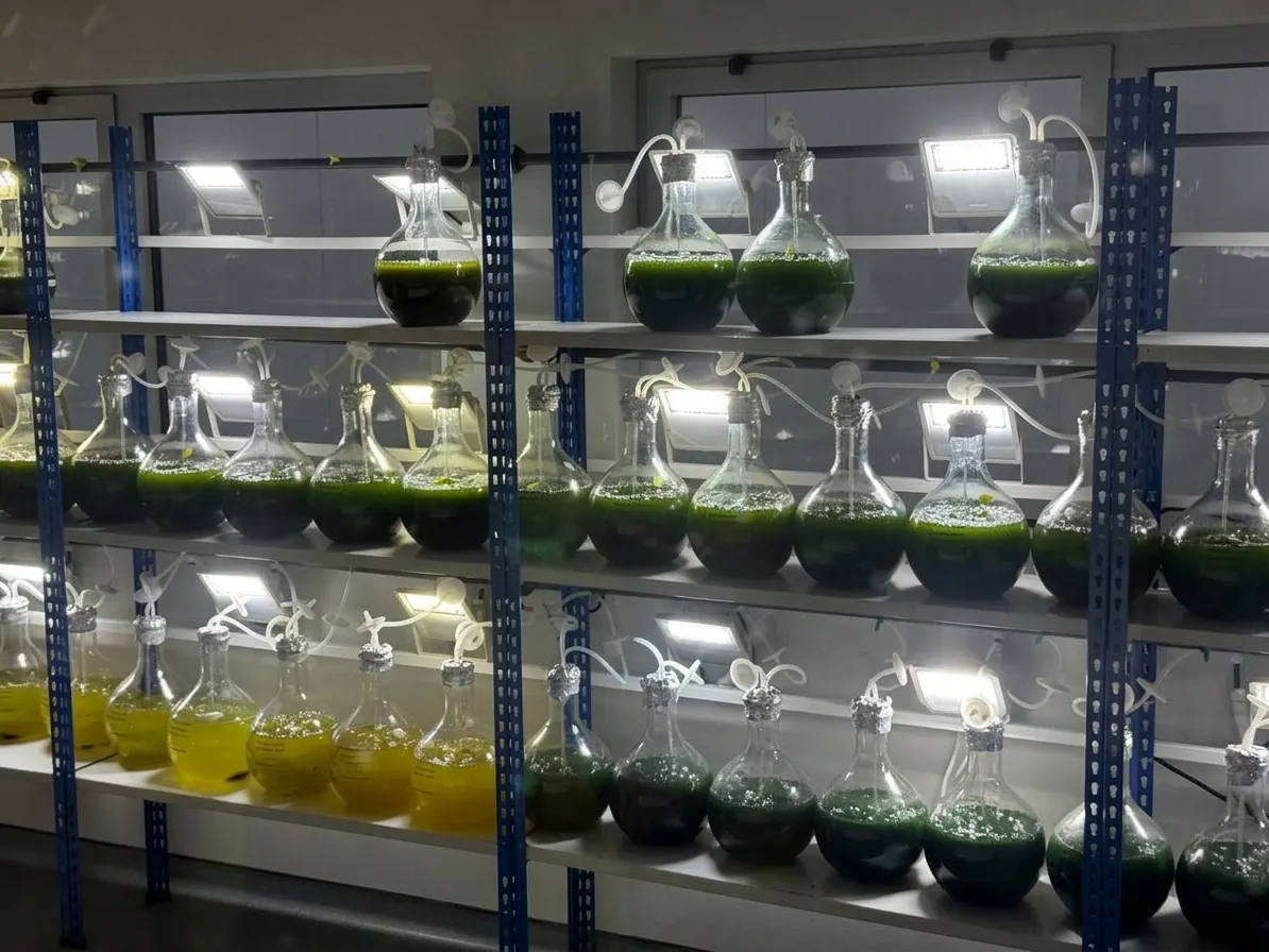 PNA facilities, picture 10